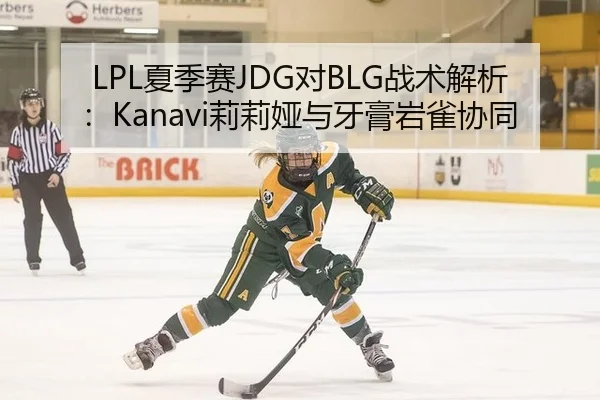 LPL夏季赛JDG对BLG战术解析：Kanavi莉莉娅与牙膏岩雀协同