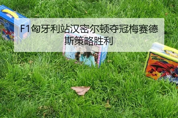 xiong-ya-li-zhan-han-mi-er-dun-duo-guan-mei-sai-de-si-ce-lve-sheng-li-2-174.jpg